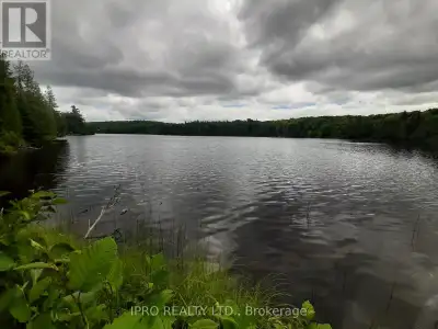 Beautiful retirement residential 9-acre lot with lake access. It offers frontage on Kelly Lake. The...