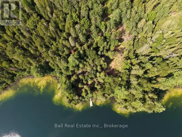 382 OLD DETLOR ROAD Bancroft (Dungannon Ward), Ontario in Land for Sale in Trenton - Image 3