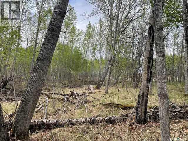 5.5km South of Dorintosh Lot 2 Meadow Lake Rm No.588, Saskatchew in Land for Sale in Meadow Lake - Image 9