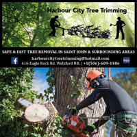 Tree Care  And Maintenance