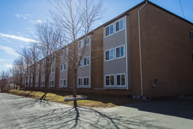 Kenny's Park - 1 Bedroom 1 Bath Apartment for Rent in Long Term Rentals in St. John's - Image 3