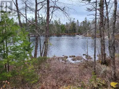 Approximately 230 feet of water frontage on Baillie Lake. Privately situated on 6.7 acres. Great pla...