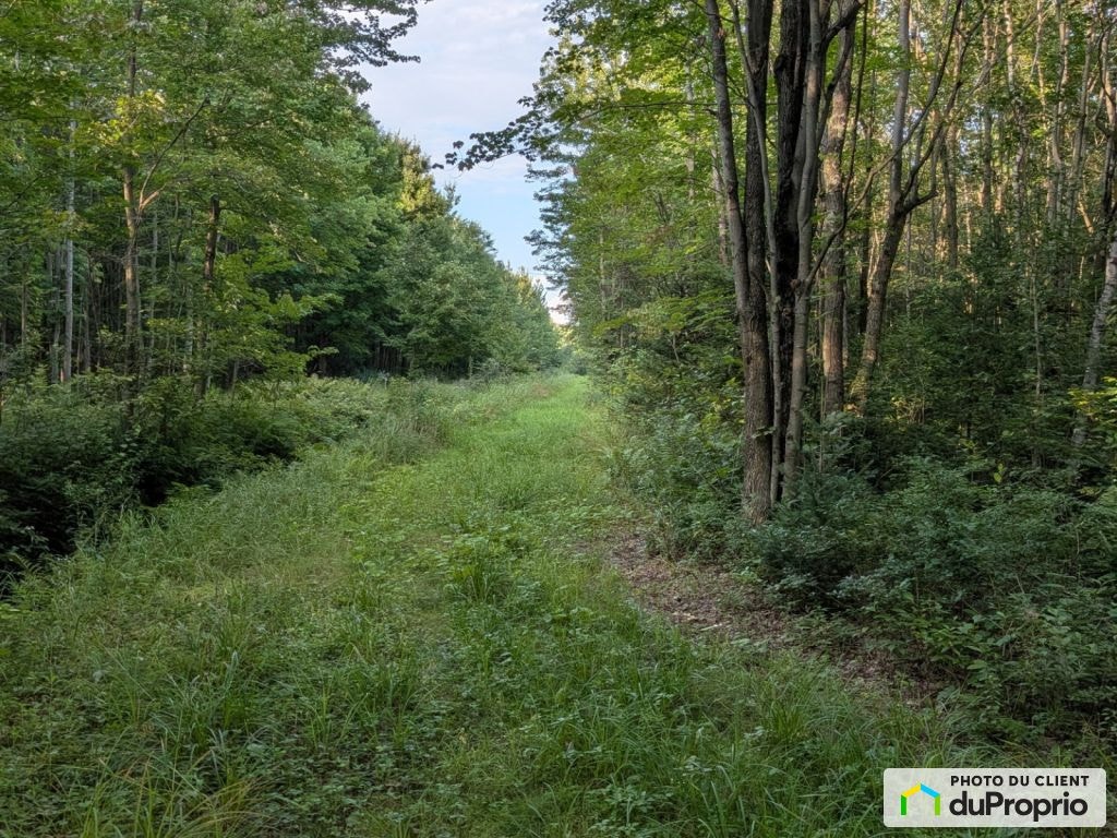 11e Rang — photo 3