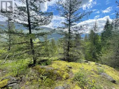 Nestled within the tranquil embrace of sunny Krestova, this expansive rural acreage presents a rare...