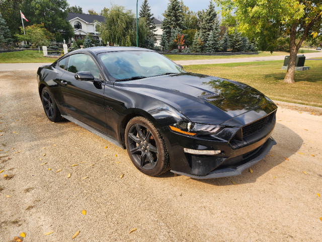 2019 Ford Mustang GT 5.0L V8 6 SPD Manual, Black Rims dans Autos et camions  à Winnipeg - Image 3