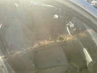 Vehicle is not drivable as it is NOT certified. Certification is available for $999 + HST For instan... (image 5)