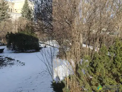 Beau terrain de 6 000 pi2, situé à Montréal, à vendre pour 600 000$. Avis de construction, prélimina...
