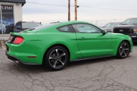 NO ACCIDENT Unleash the thrill of the open road with the 2019 Mustang Ecoboost Coupe. With its bold... (image 6)