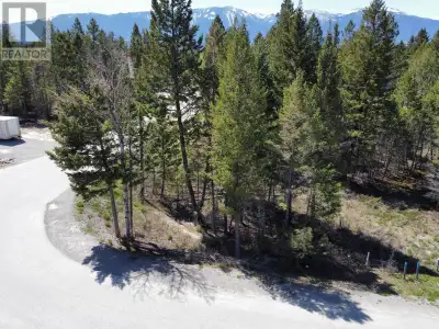 Look no further to build your dream home in the heart of the Columbia Valley at the Cottages at Copp...