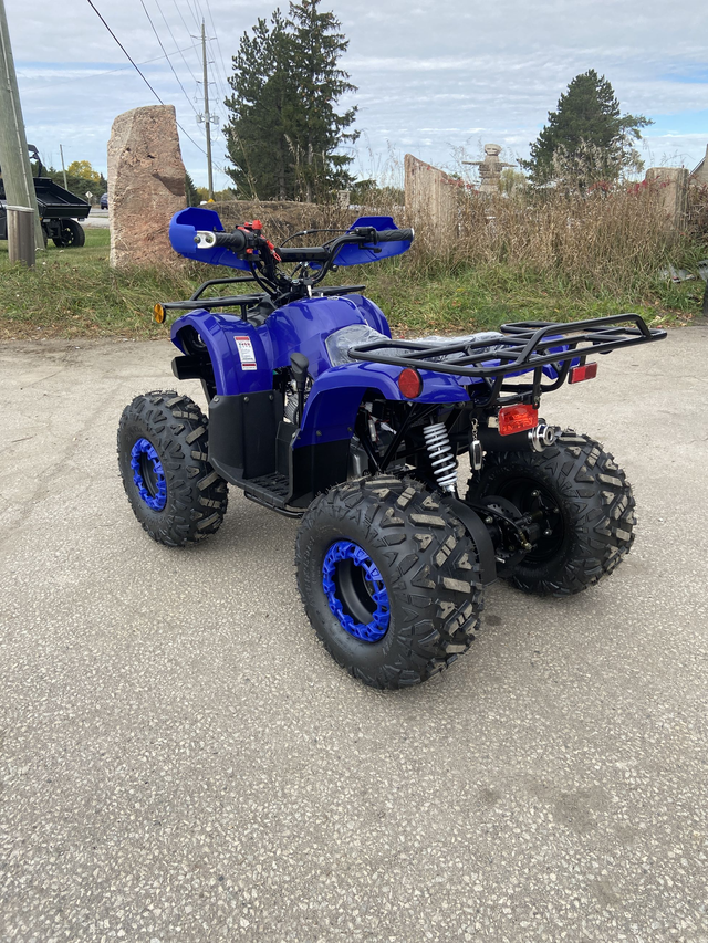 SBZ 125cc ATV Automatic w/ Reverse – New $999 in ATVs in Mississauga / Peel Region - Image 27