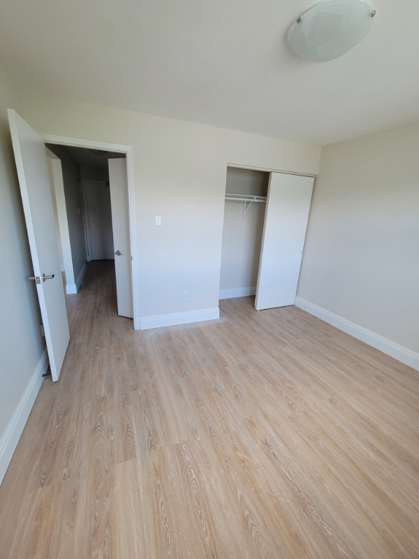 Available July 1st - One Bedroom Apartment in Dartmouth in Long Term Rentals in Dartmouth - Image 3