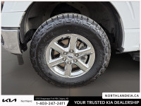 2024 Ford F-150 XLT Recent Arrival! Odometer is 10953 kilometers below market average! Ready for any... (image 6)