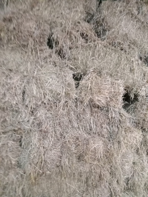 Hay for sale in Livestock in Kawartha Lakes