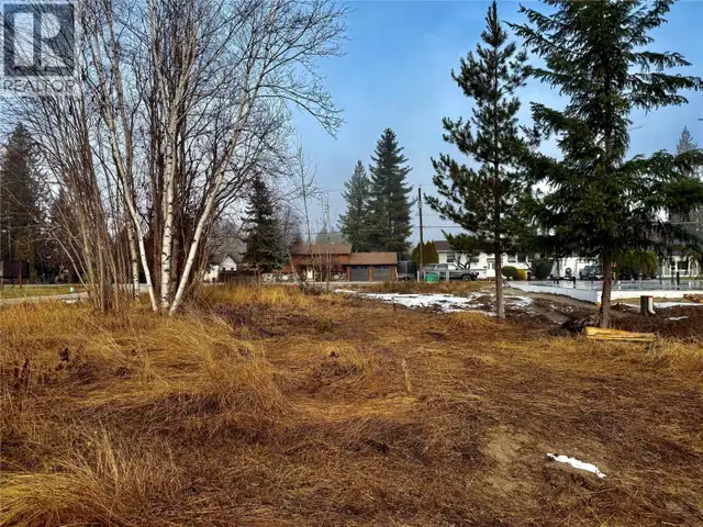 719 Parksville Street Sicamous, British Columbia in Land for Sale in Kamloops - Image 3
