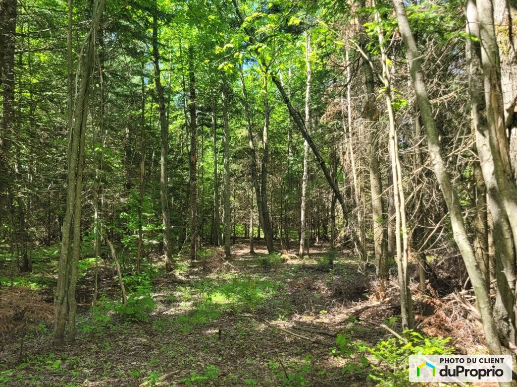 $175,000 - Wood Lot in Shawinigan (St-Gerard-Des-Laurentides) — photo 2