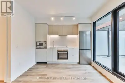 RENT: 1 Bed, 1 Bath New Condo with HUGE PRIVATE TERRACE