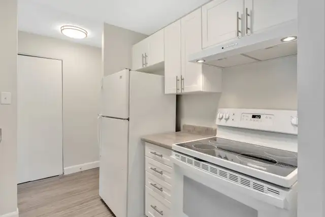 Kingston 2 Bedroom Apartment for Rent: in Long Term Rentals in Kingston - Image 9