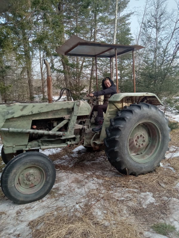 1973 David Brown Tractor.  Works great!!  Lady driver in Farming Equipment in Saint John - Image 2