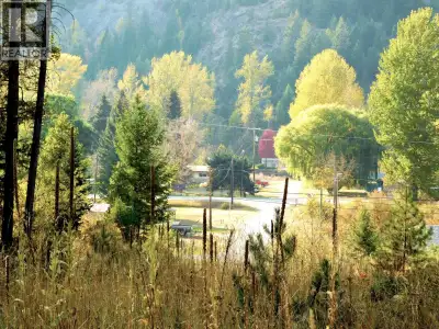 Large corner lot in newly created Ponderosa Lane, in Greenwood, BC. Water and Sewer already on prope...