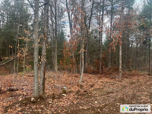 $149,900 - Residential Lot for sale in Gore — photo 1