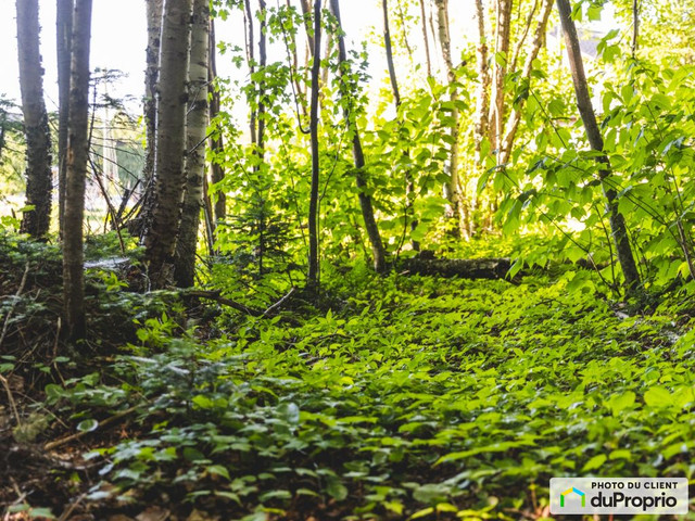 110 000$ - Prix taxes incluses - Terrain résidentiel à vendre dans Terrains à vendre  à Rimouski / Bas-St-Laurent - Image 2