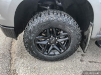 Experience the power and versatility of the 2024 Chevrolet Silverado 1500 LT Trail Boss. This rugged... (image 6)