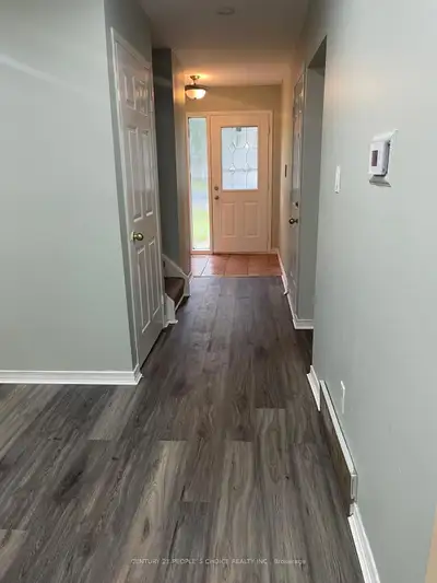 House For Rent