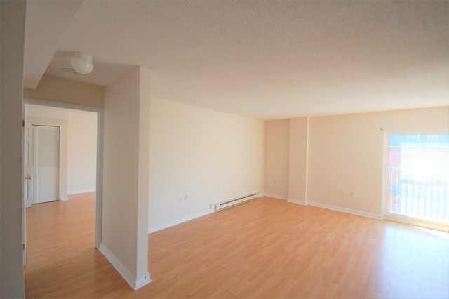 1 Bedroom Downtown Halifax for August in Long Term Rentals in City of Halifax - Image 3