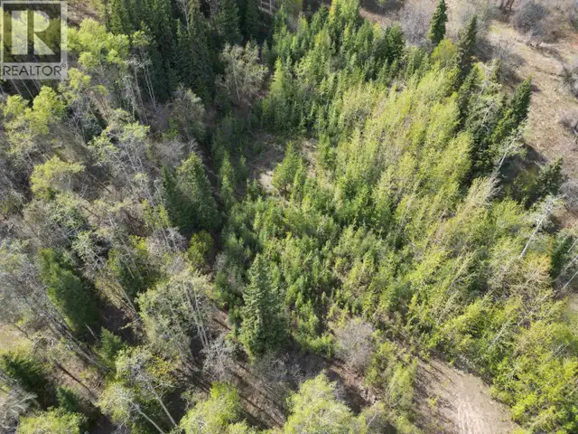 LOT A BALD HILL ROAD Burns Lake, British Columbia in Land for Sale in Burns Lake - Image 6