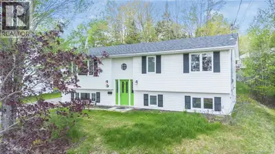 Welcome to 167 Mason Avenue, a charming split entry home in a family friendly neighbourhood of the M...