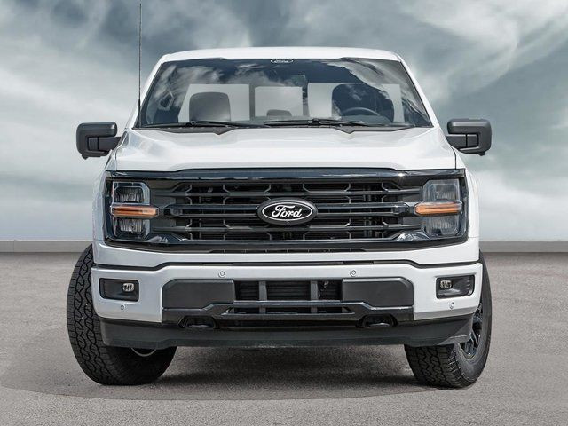 2025 Ford F-150 XLT in Cars & Trucks in Winnipeg - Image 2
