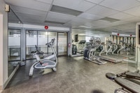 1.5 Months Rent Free + $250 Security Deposit Visit our Website: https://www.capreit.ca/apartments-fo... (image 3)