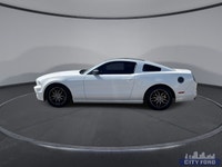 City Ford is Family Owned and Operated serving Edmonton and area for Over 37 Years - Over 300 New &... (image 4)