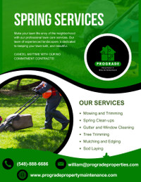 Spring Clean-ups, Lawn Maintenance, Gutter Cleaning & More
