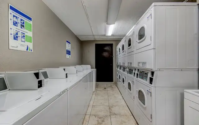 3 BDRM SUITE - fully renovated - Available May 1st in Long Term Rentals in Hamilton - Image 11