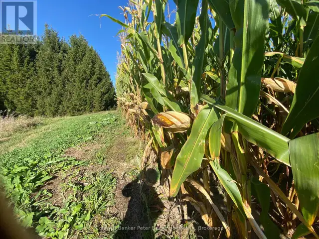 1315 CONCESSION 8 CONCESSION Kincardine, Ontario in Land for Sale in Owen Sound - Image 8