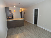 Beautiful Modern 2 Bedroom Apartment Available March 1st