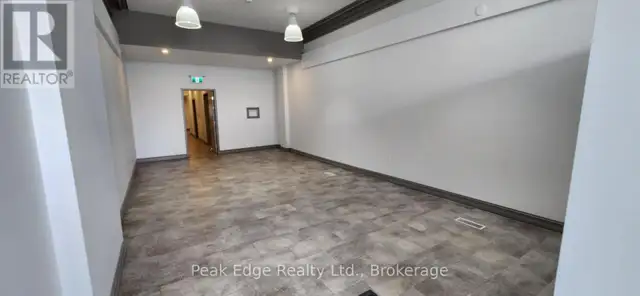 209 10TH STREET Hanover, Ontario in Commercial & Office Space for Sale in Owen Sound - Image 3