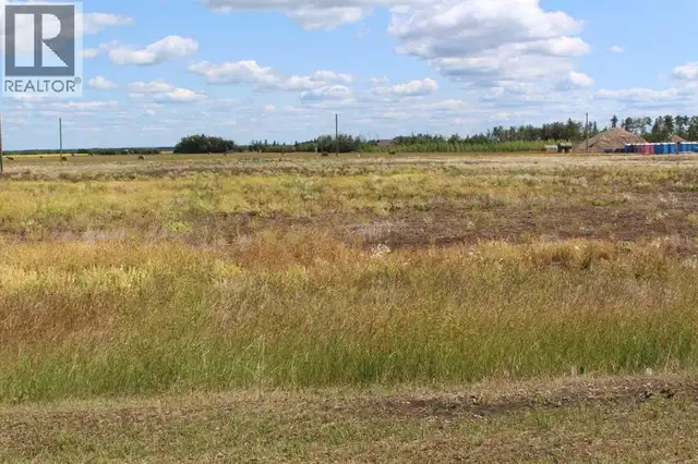 903 Main Street Manning, Alberta in Land for Sale in Grande Prairie - Image 4