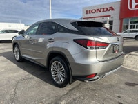 The 2020 Lexus RX 350, an IIHS Top Safety Pick+, delivers exceptional peace of mind and unparalleled... (image 6)