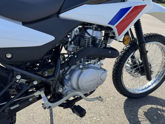 2025 Honda XR150L Standard in Street, Cruisers & Choppers in Kitchener / Waterloo - Image 13