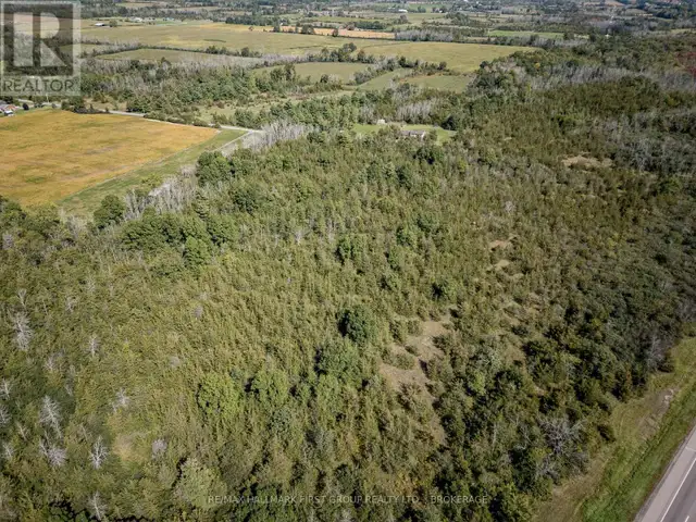00 PALACE ROAD Greater Napanee (Greater Napanee), Ontario in Land for Sale in Napanee - Image 34