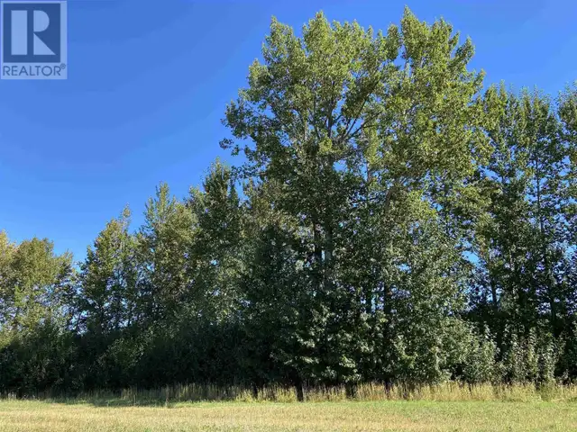 NECHAKO RIVER Vanderhoof, British Columbia in Land for Sale in Vanderhoof - Image 12