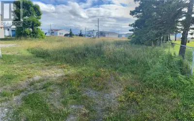 PRIME LOTS & PRIME LOCATION !! This property is centrally located in the Town of Stephenville Crossi...