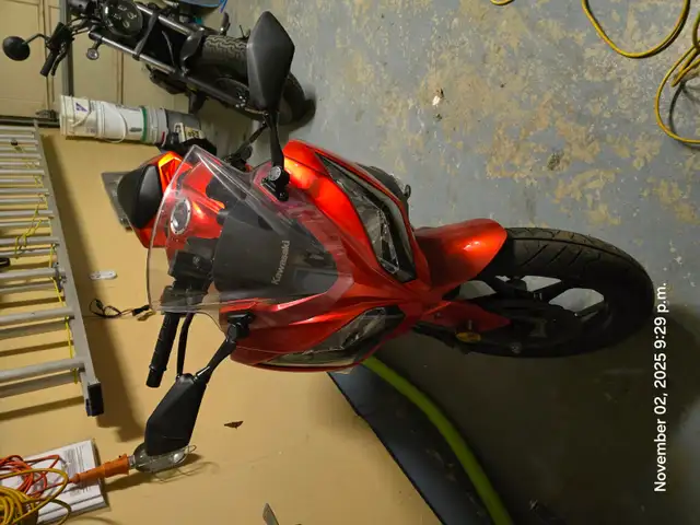 2016 Kawasaki Ninja 300 in Sport Bikes in Mississauga / Peel Region - Image 3