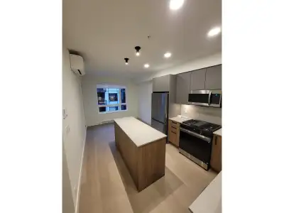 This Brand-new Junior 2 Bedroom is located in Langley's Willoughby Heights! Ultra modern decor with...