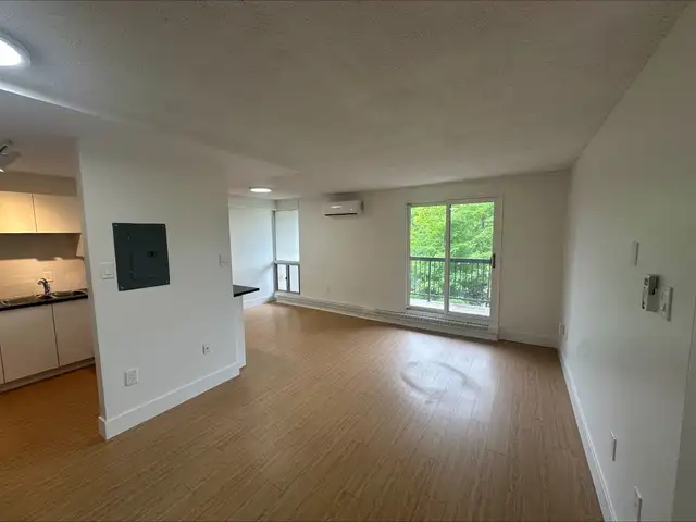 1 Bedroom - 700 Forest Hill Rd. - Newly Renovated in Long Term Rentals in Fredericton - Image 3