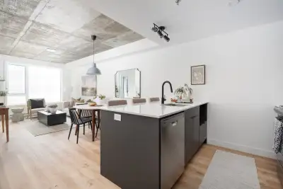 Condo appartement à louer logement locatif-luxe-Studio 2 1/2-Saint Patrick-Charlevoix-Pointe-Saint-C...