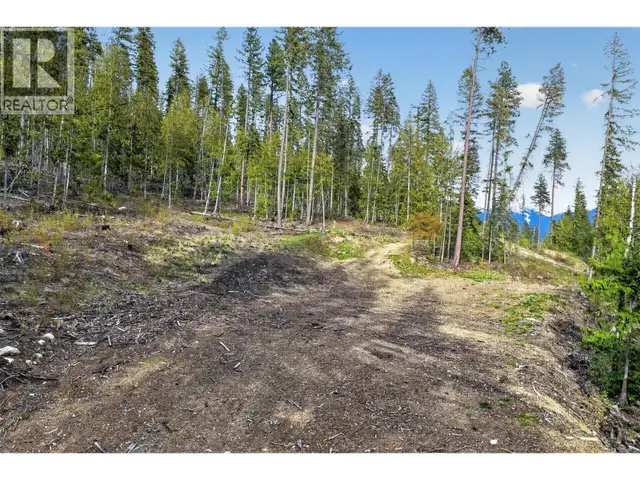 DL 7620 Rogers Road Balfour, British Columbia in Land for Sale in Nelson - Image 11