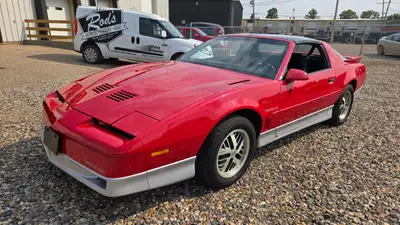 1987 Pontiac Trans-Am. If you're the kind of collector who's looking for factory original, unrestore...